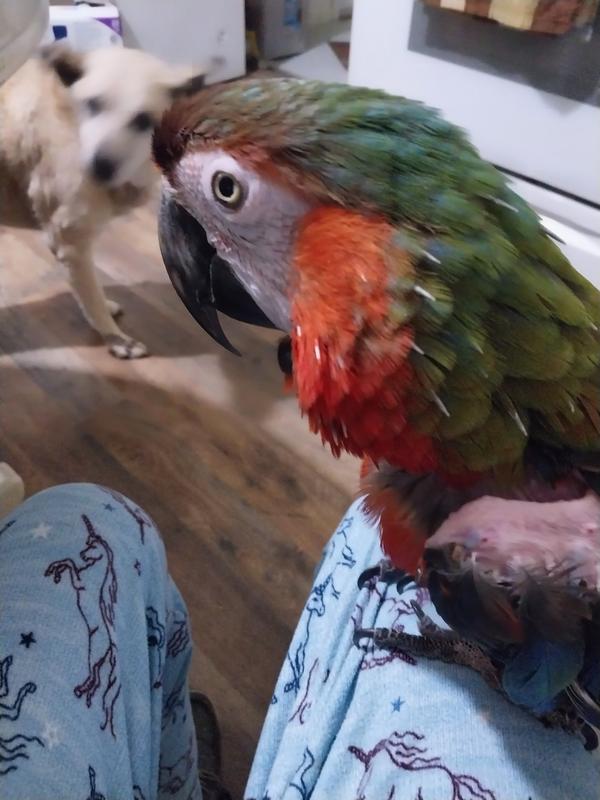 My girl loves her sunflower seeds