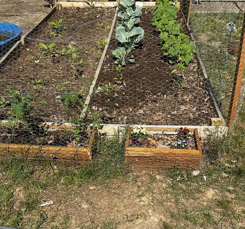 Fencing for raised garden