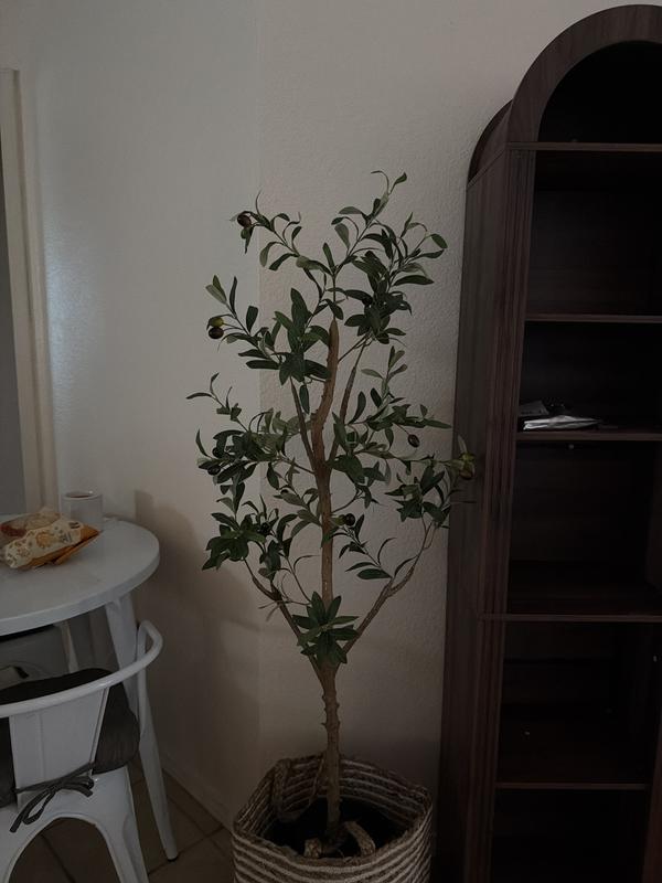 Review photo 1.