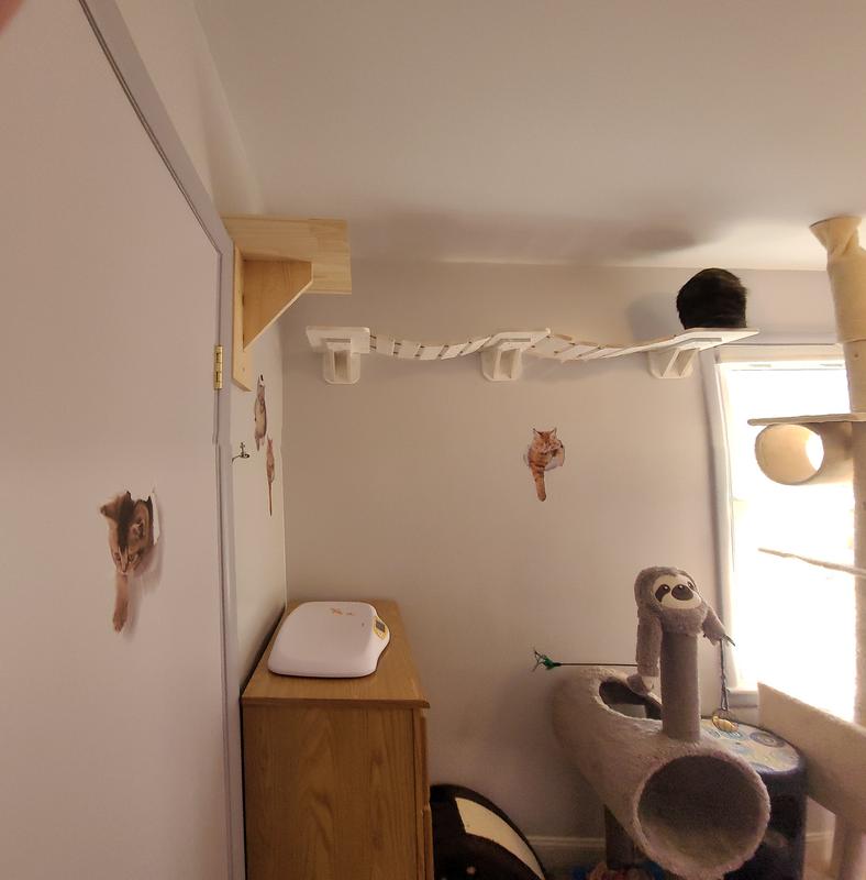 Review photo 1.
