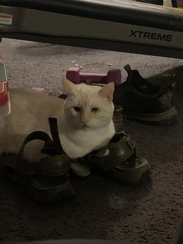 All better!!! 4 days later