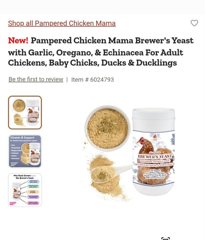 Photo is what I originally ordered.