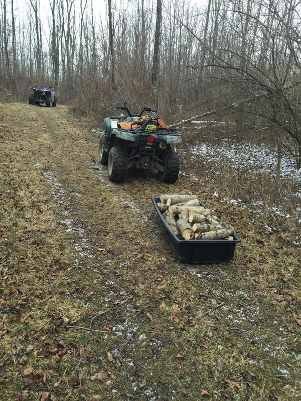 Nice to be in the woods