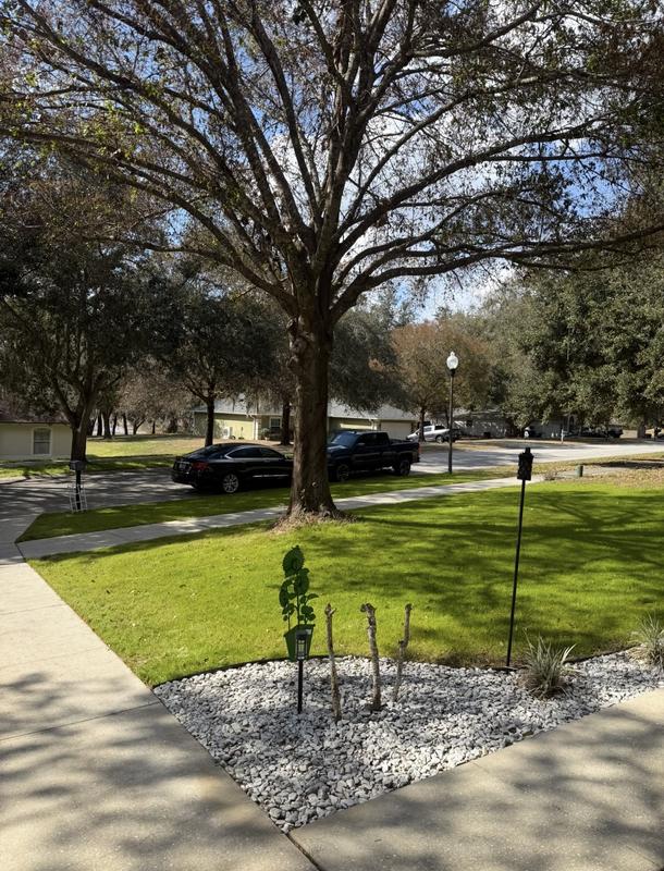 Photos taken within 3 weeks of each other!