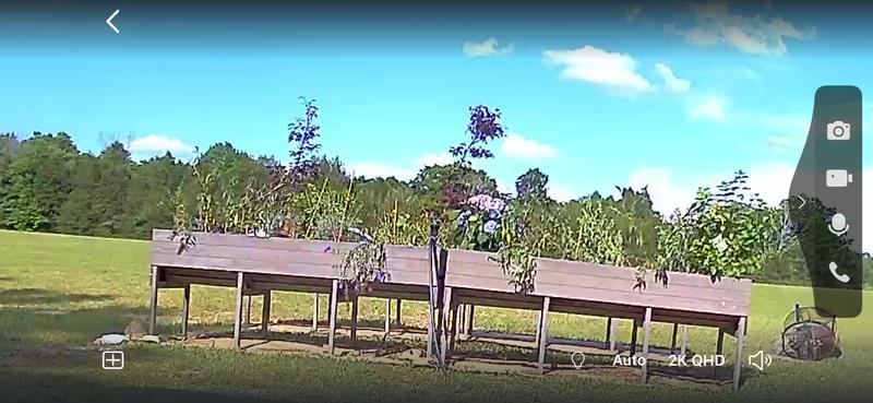 Review photo 1.