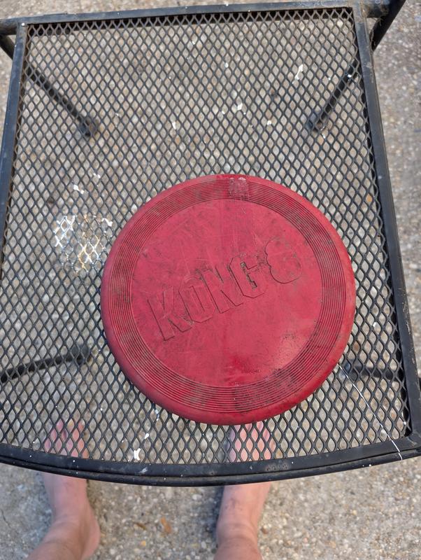 Enjoying and still all in one piece