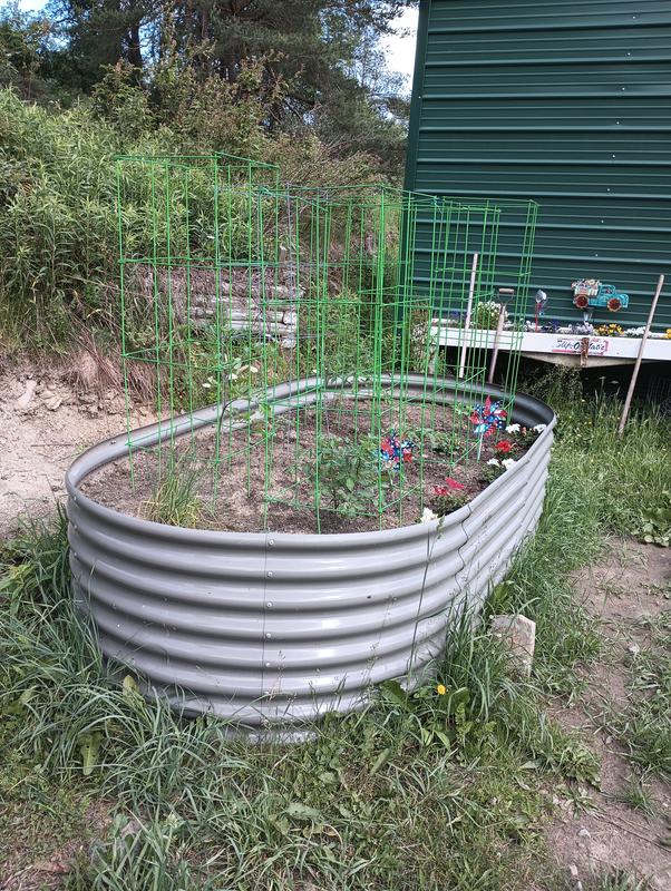 My tomato garden with heavy duty supports