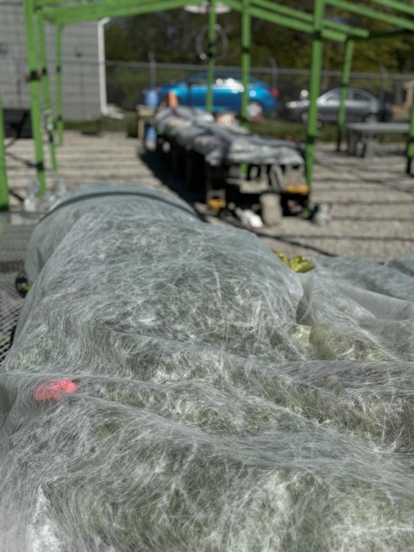 Gravel in garden yard