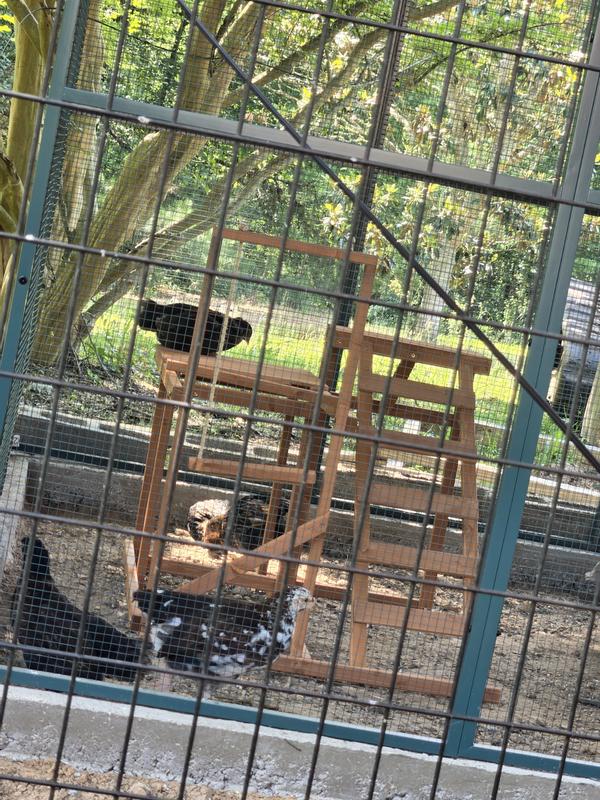 Review photo 1.