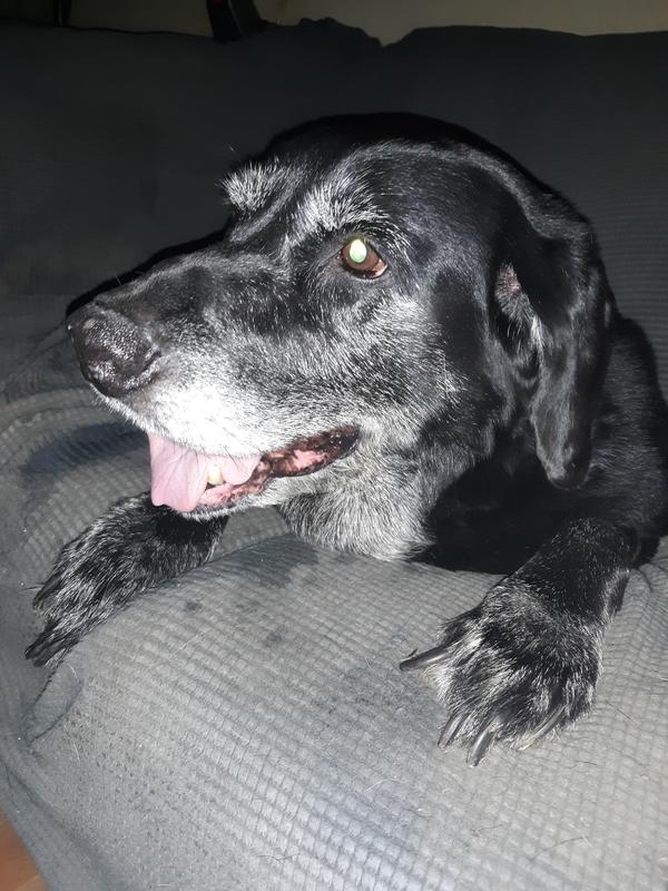 Mackey 11 yrs old