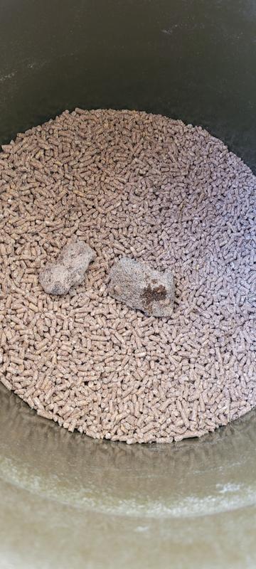 Clumps of ??? Something.