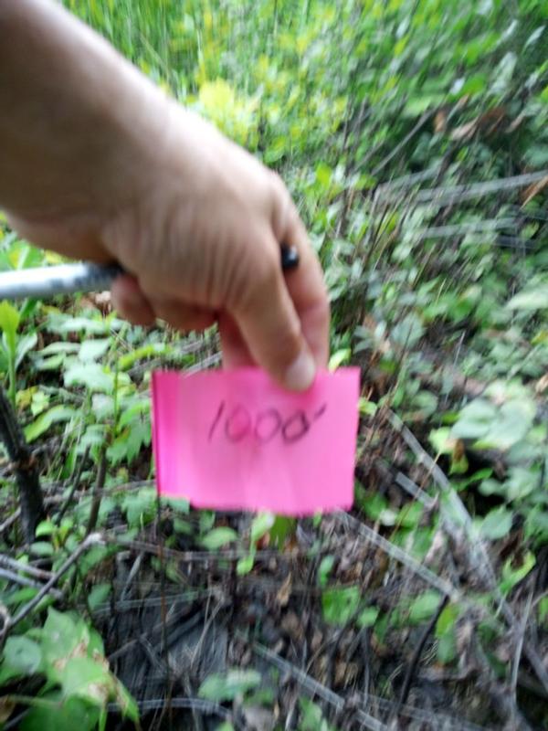 marking measurements before using flag marker