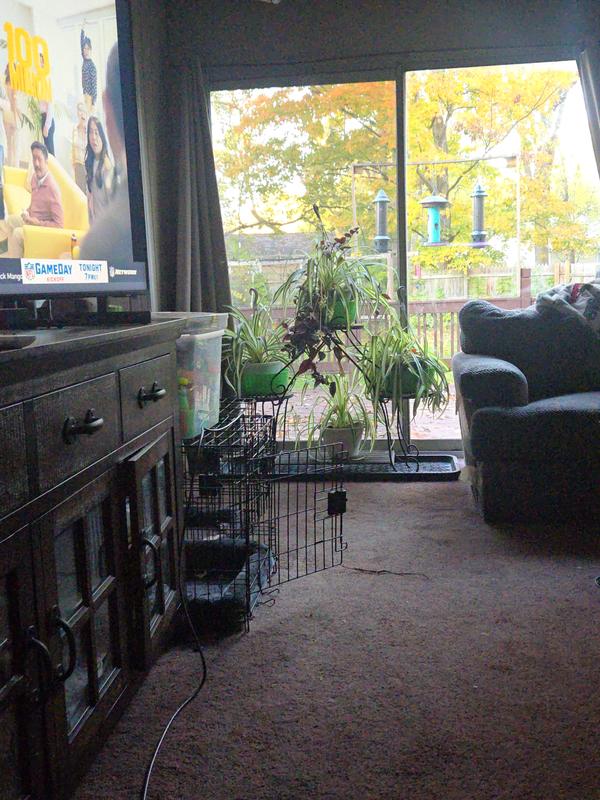 Also works under a plant stand for catching water when watering plants