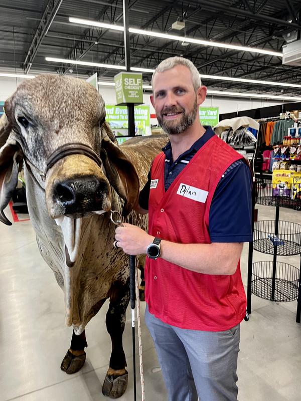 Spartacus loves shopping at TSC