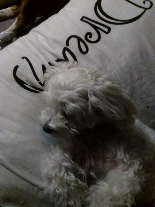 Sleeping not scratching yay!!!