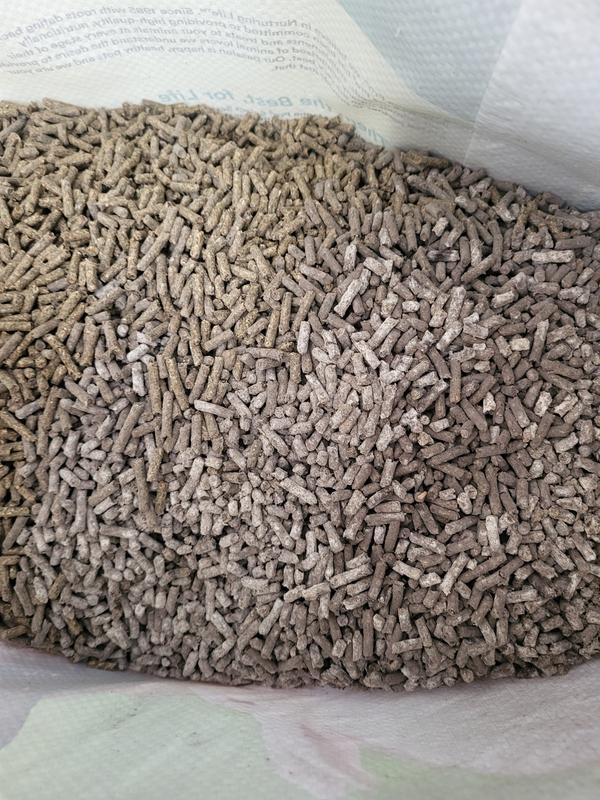 Moldy feed and lot#. 2 orders from this lot# arrived moldy.