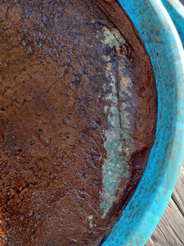 Green mold type material on top of all 6 tubs we bought.  Scraped it and alot of product off to clean product for animals to consume.