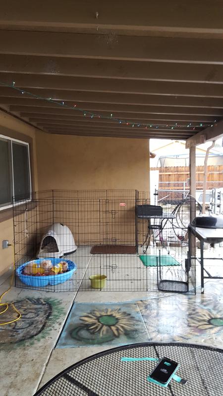 Front porch .Dogs safe if someone comes in gate