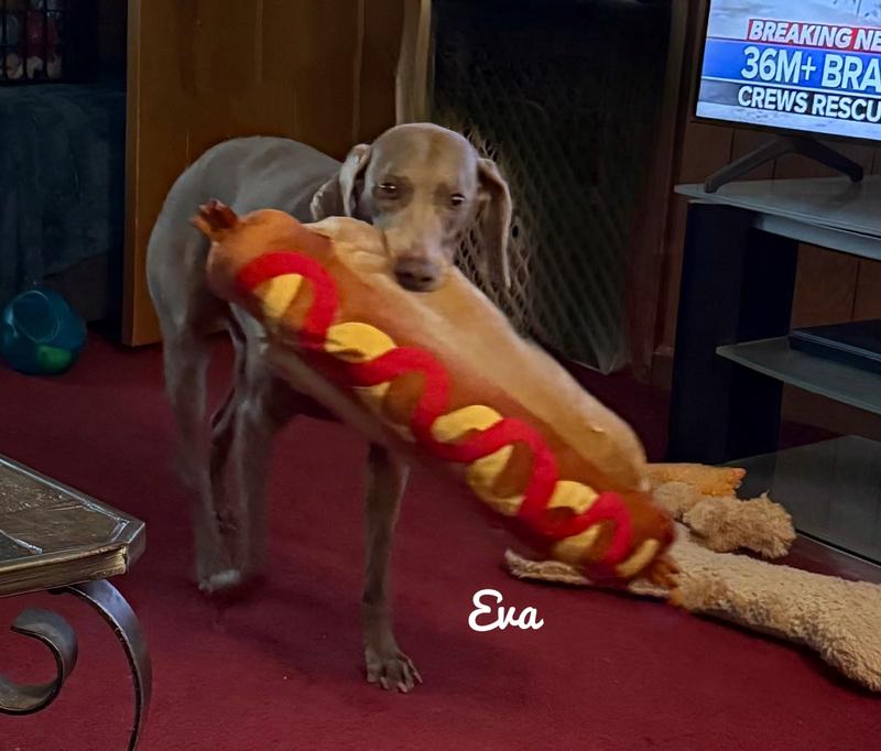 Eva with her HOT DOG!