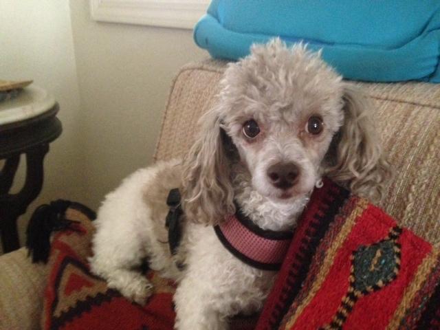 I'm such a happy girl!!!