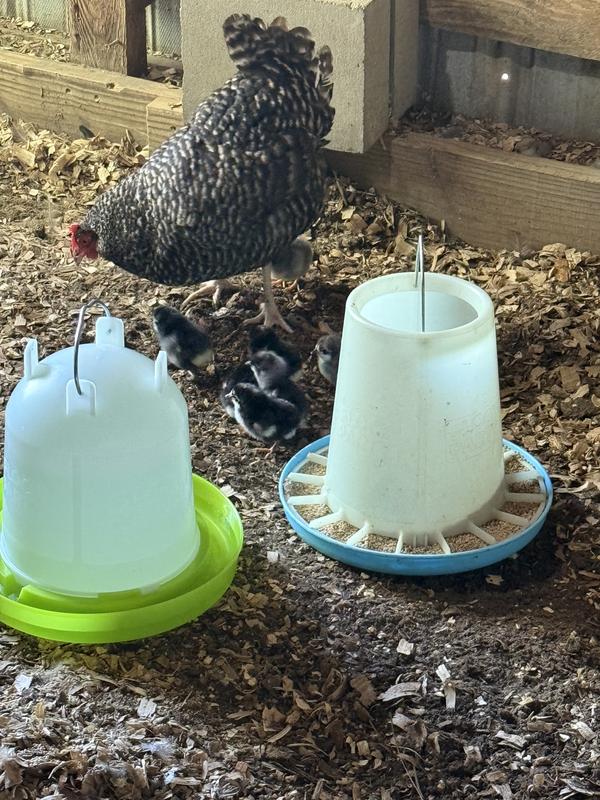 Feeders