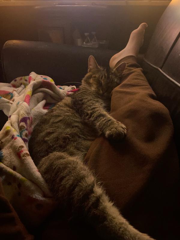 Sleeping peacefully...not scratchy