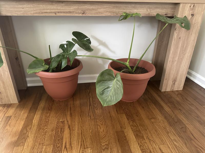 Indoor planter