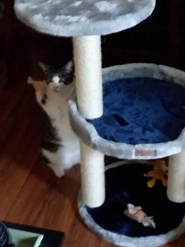 She loves it!