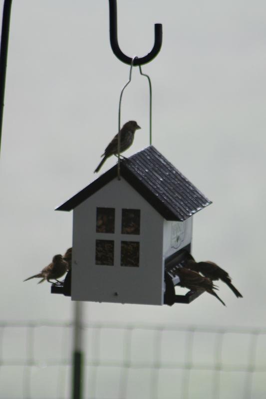 Review photo 2.