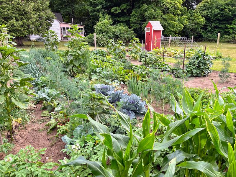 Preen at the base of plants, between plants - not out in the middle of walkways where I can easily clear weeds with a hoe
