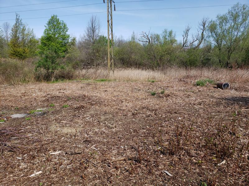 The aftermath of a single spraying!