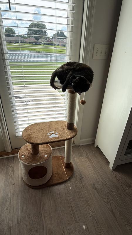 Luna Kitty