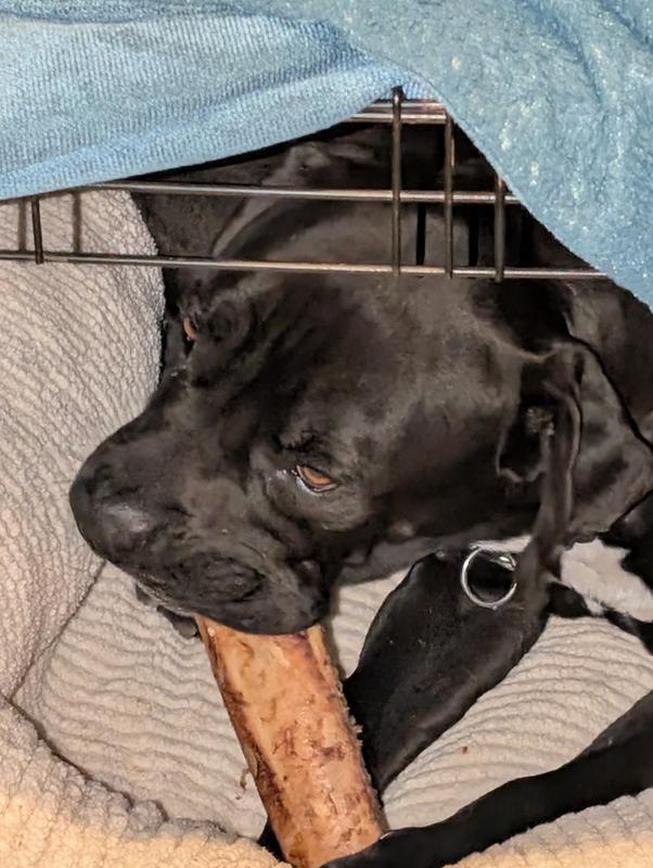 My bone!!