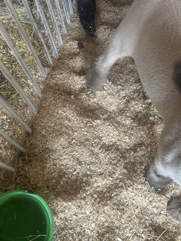 These were the “flake shavings”.