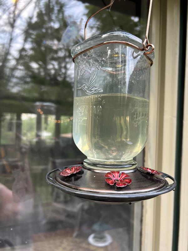 Turns rusty at the base