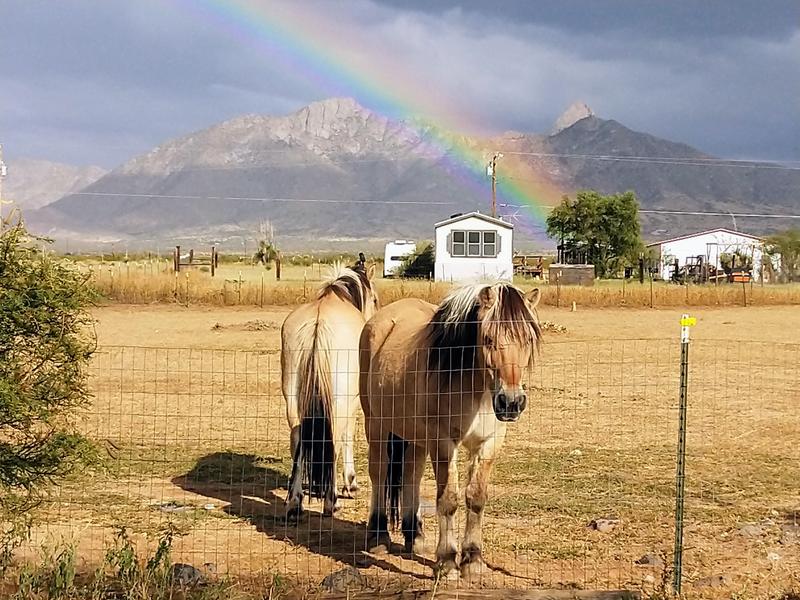 Review photo 7.