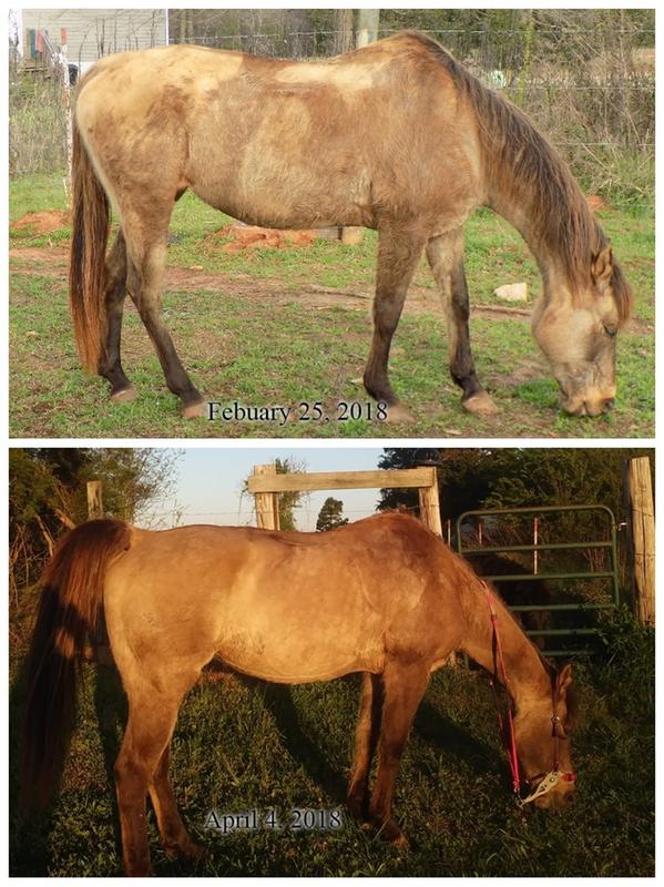 Lady's 37 day difference!