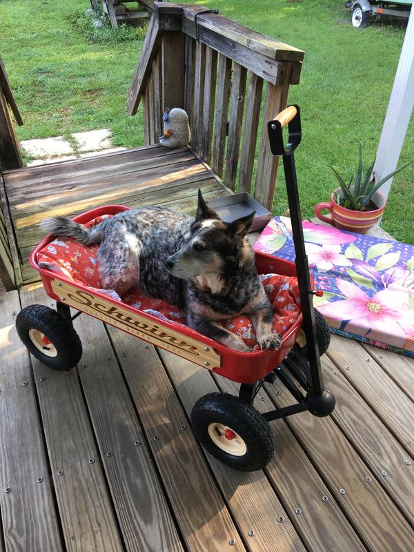 Dixie’s wagon