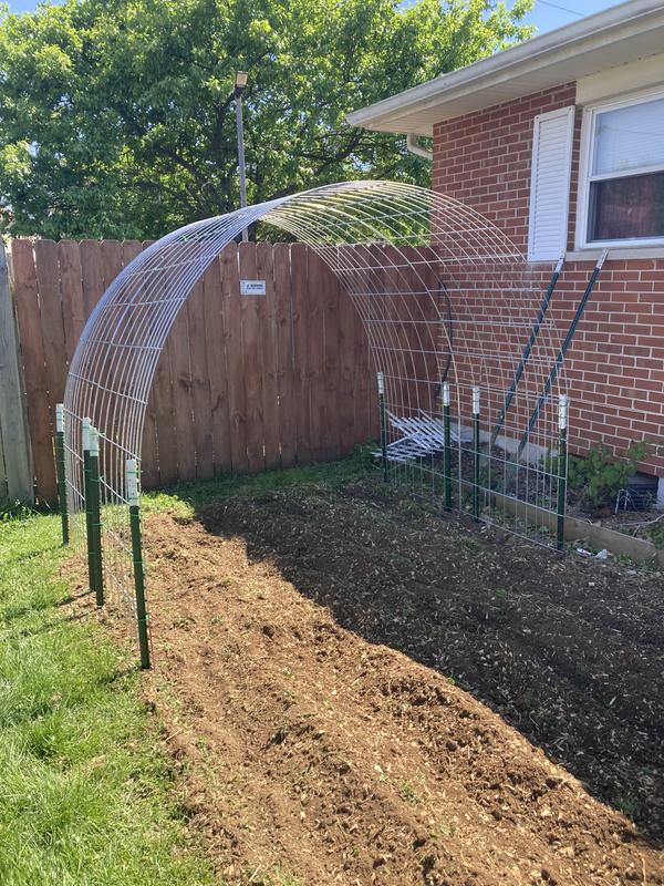 For the garden trellis