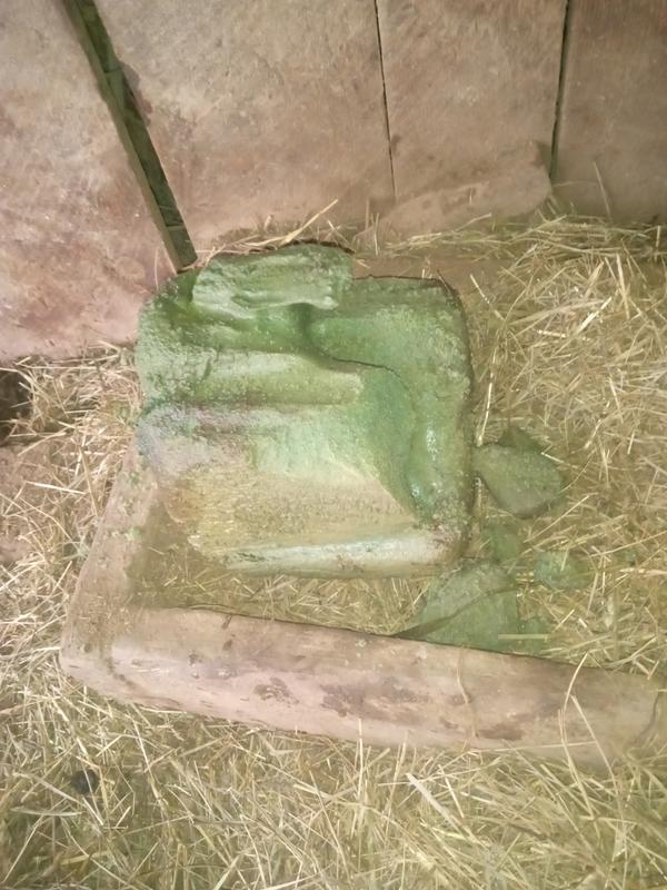 One night out in the rain