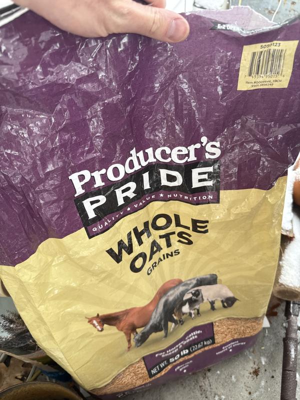 Bag stores well, no issues with mold or critters