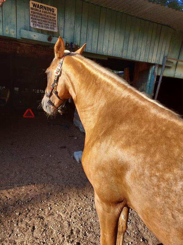 Look at that shine!