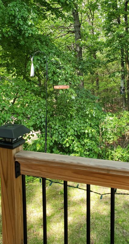 Cedar feeder/bath