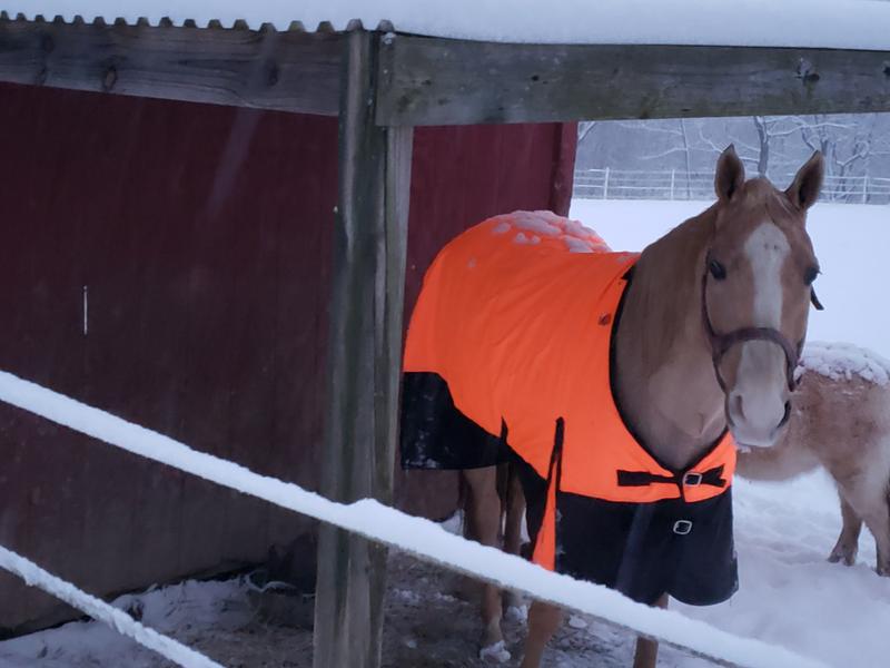 Charlie with her new blanket.