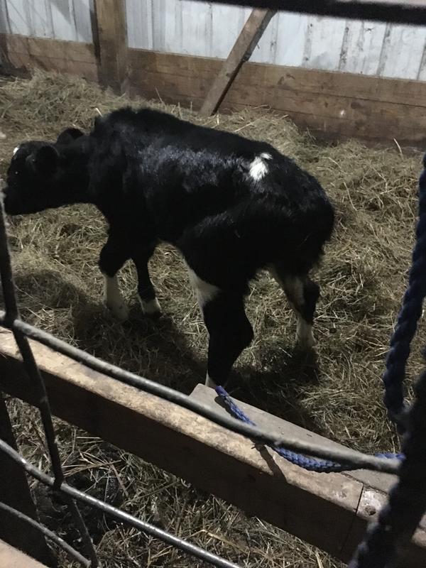 First day on her feet.