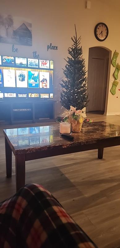 What I received, nothing like the picture.