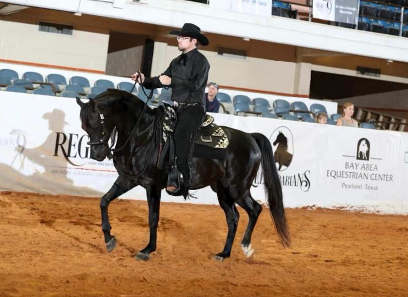 Looked great at horse show