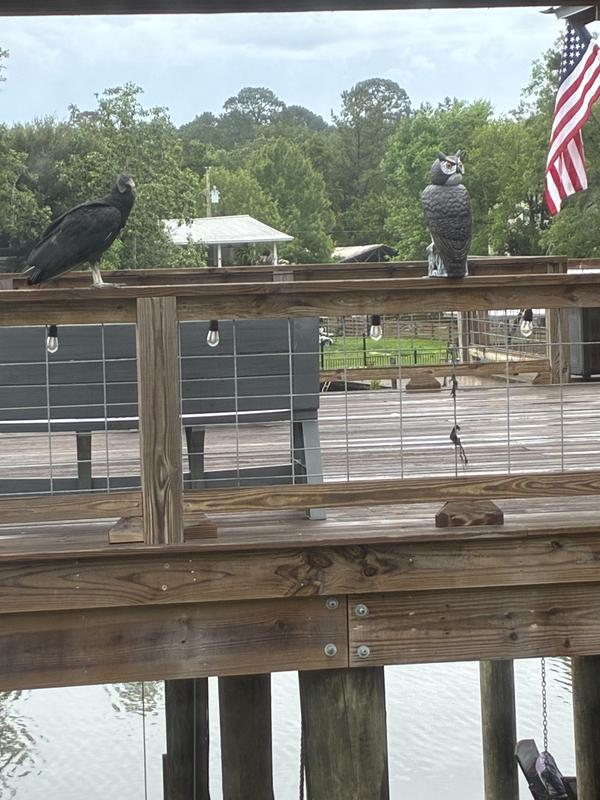 Hello neighbor.