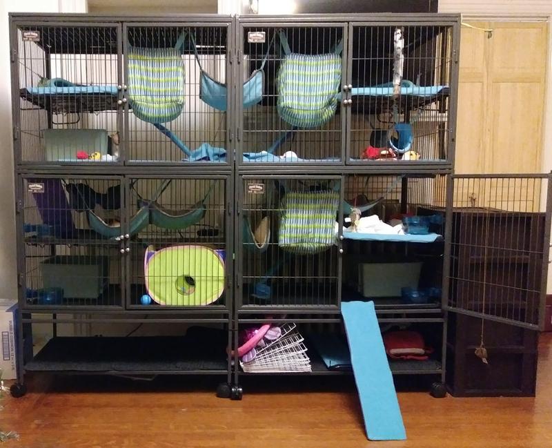 2 ferret nation 182 kits combined