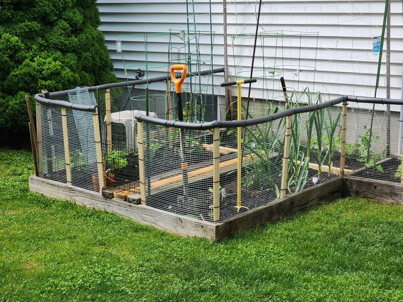 No more bunnies or chipmunks munching the veggies now.